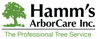 Columbus Tree Care